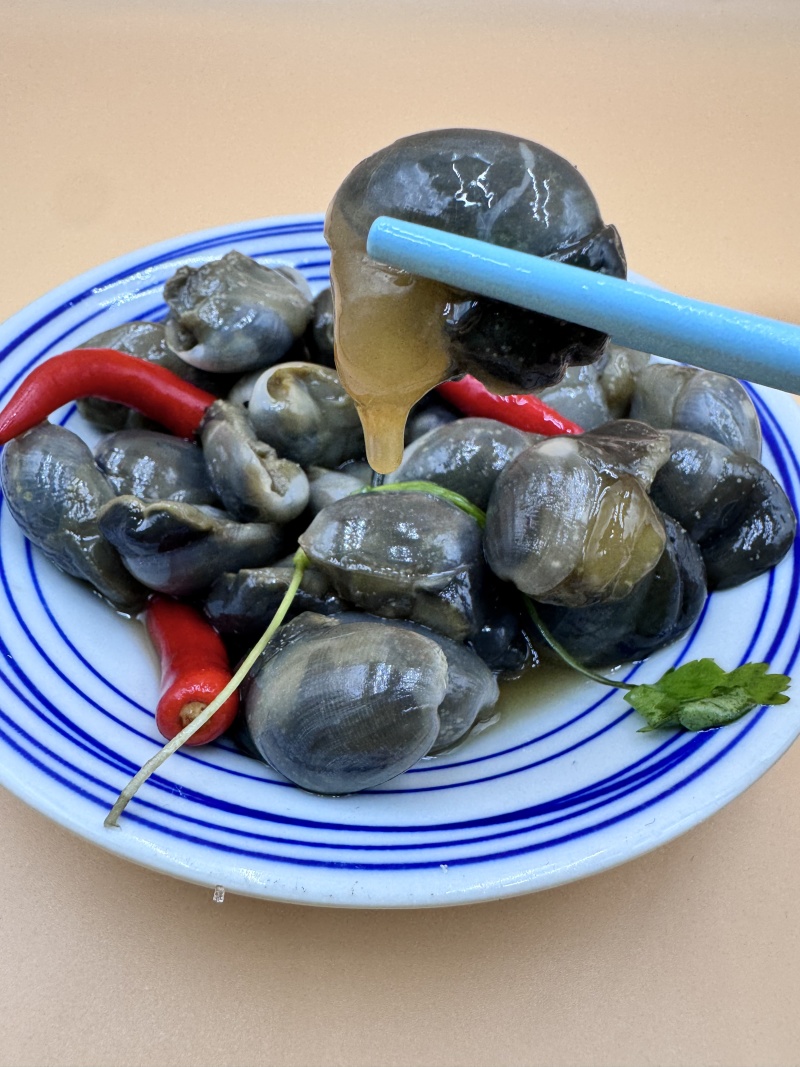 辽宁丹东大泥螺