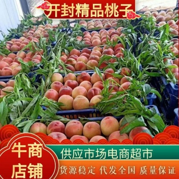 红桃，突围，中桃九号，莎红，中桃五号产地直供欢迎采购