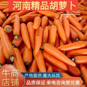 河南开封三红萝卜大量上市了，支持各种包装，全国代发