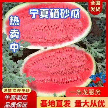宁夏硒砂瓜皮薄多汁耐运输品质保证包熟包甜质优价