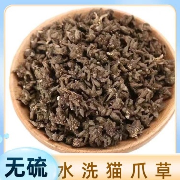 特级真的猫爪草野生猫爪草正宗正品干货水洗无硫新鲜猫抓草批