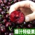 山东大樱桃大量上市、现摘现发、对接【电商代发】商超仓储