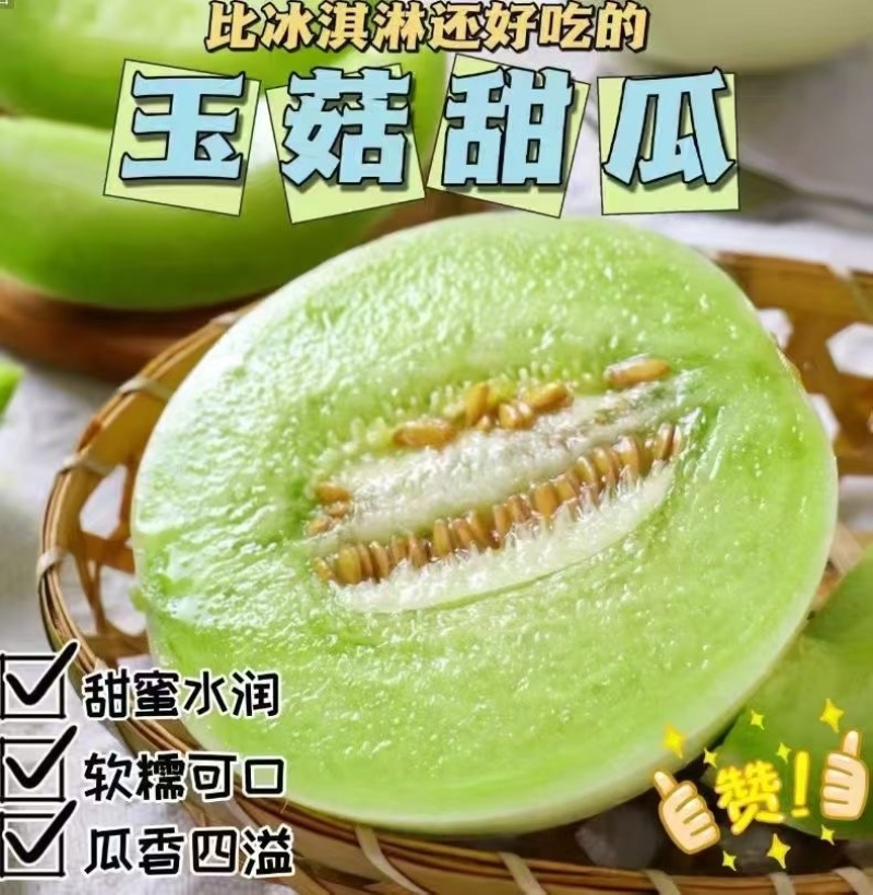 莘县玉菇甜瓜糖度高代收代发全国各地市场（一件代发）