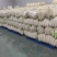 湖北高山白萝卜大量供应对接各大商超市场量大从优欢迎咨询