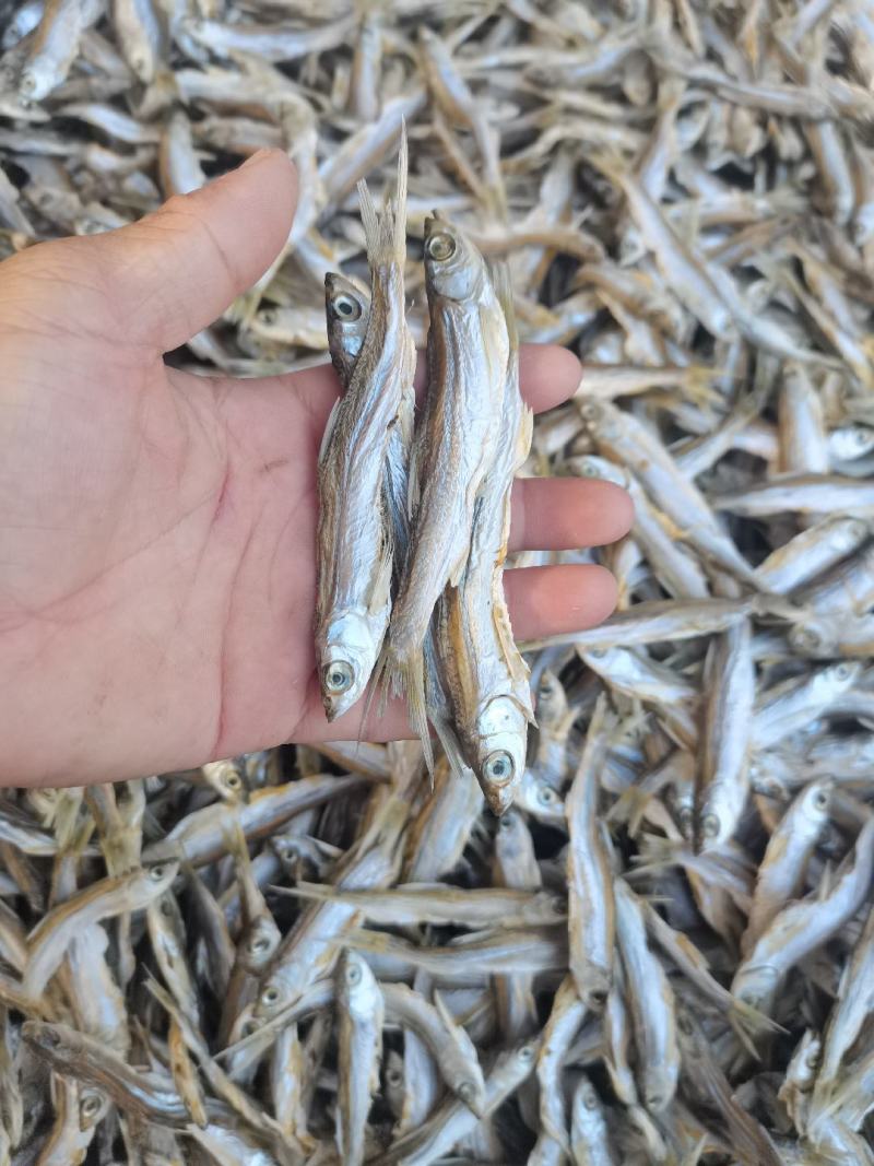 淡盐烘干蓝刀（小号）/开肚/鱼干/餐条/干货/白条/野生