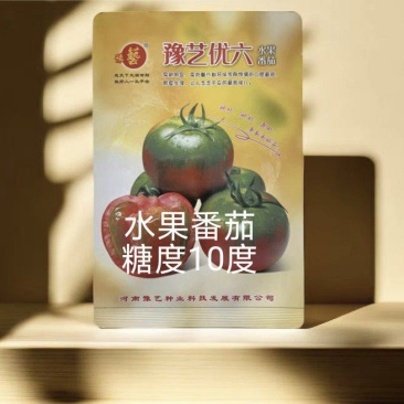 豫艺优六口感番茄无限生长抗T丫抗线虫单瓜130克