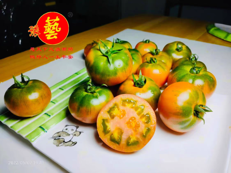 豫艺优六口感番茄无限生长抗T丫抗线虫单瓜130克