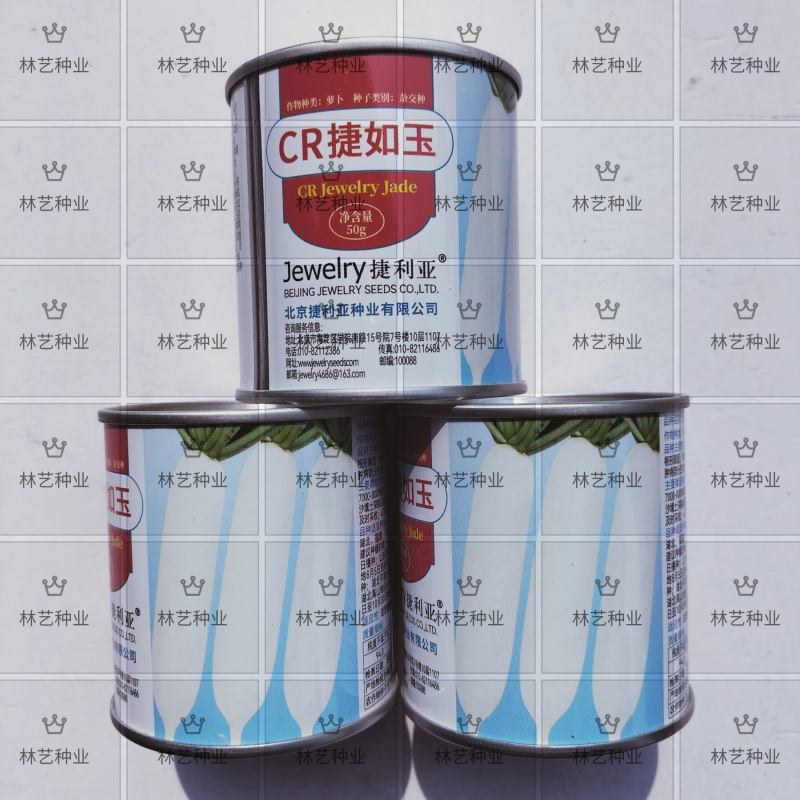 CR捷如玉杂交白萝卜种子耐糠心高产白萝卜种子基地用种