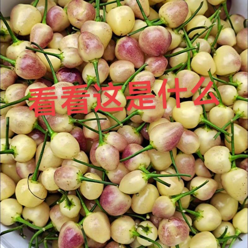 七彩椒