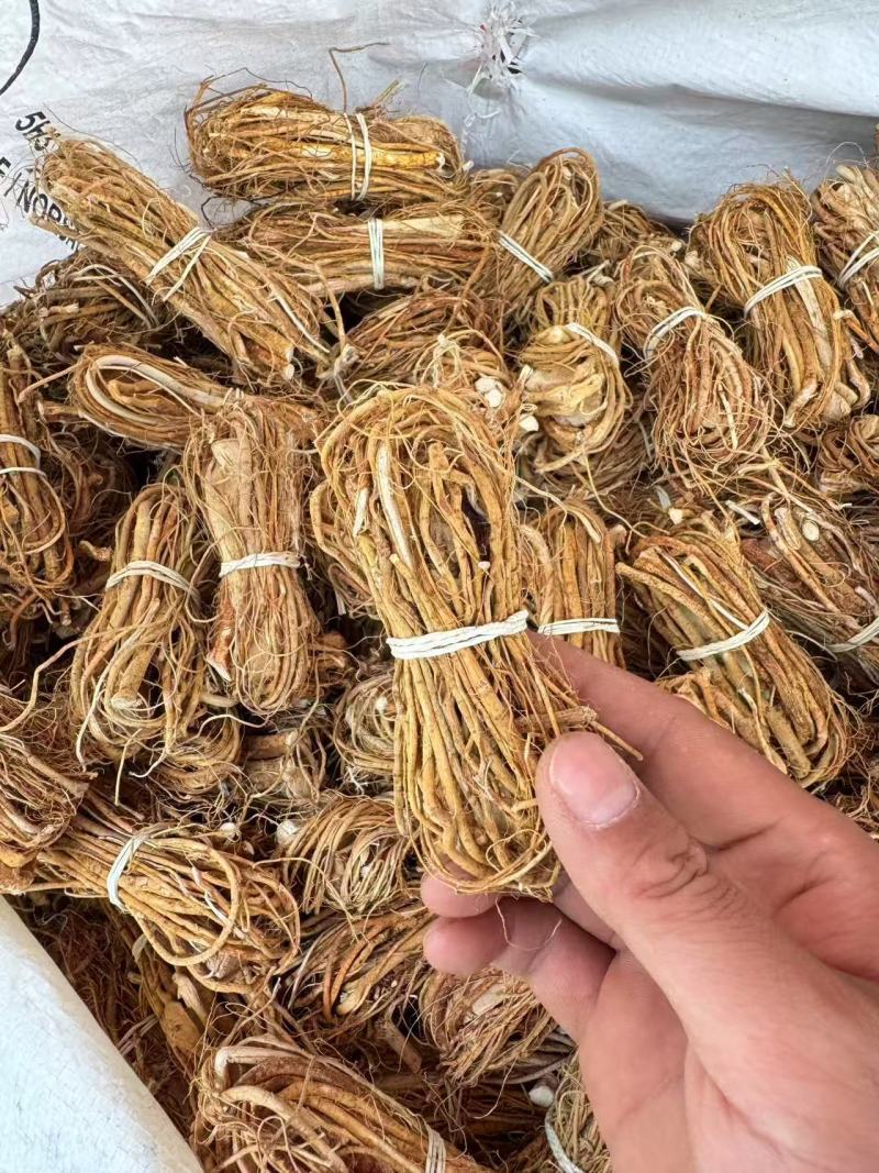 五指毛桃大量供应，支持一件代发，保质保量，诚信经营，欢迎