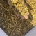 【黄芩】精品黄芩含量高品质好颜色鲜美保质保量