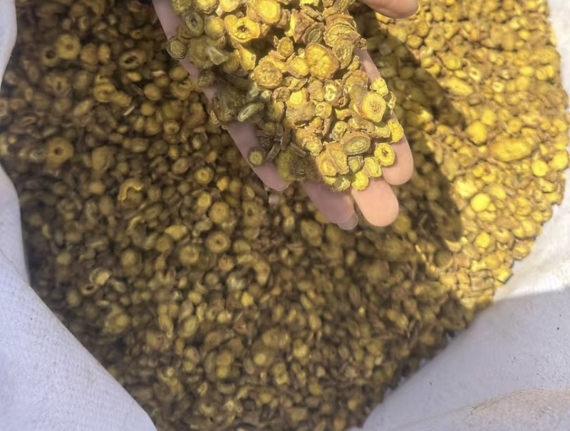 【黄芩】精品黄芩含量高品质好颜色鲜美保质保量