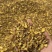 【黄芩】精品黄芩含量高品质好颜色鲜美保质保量