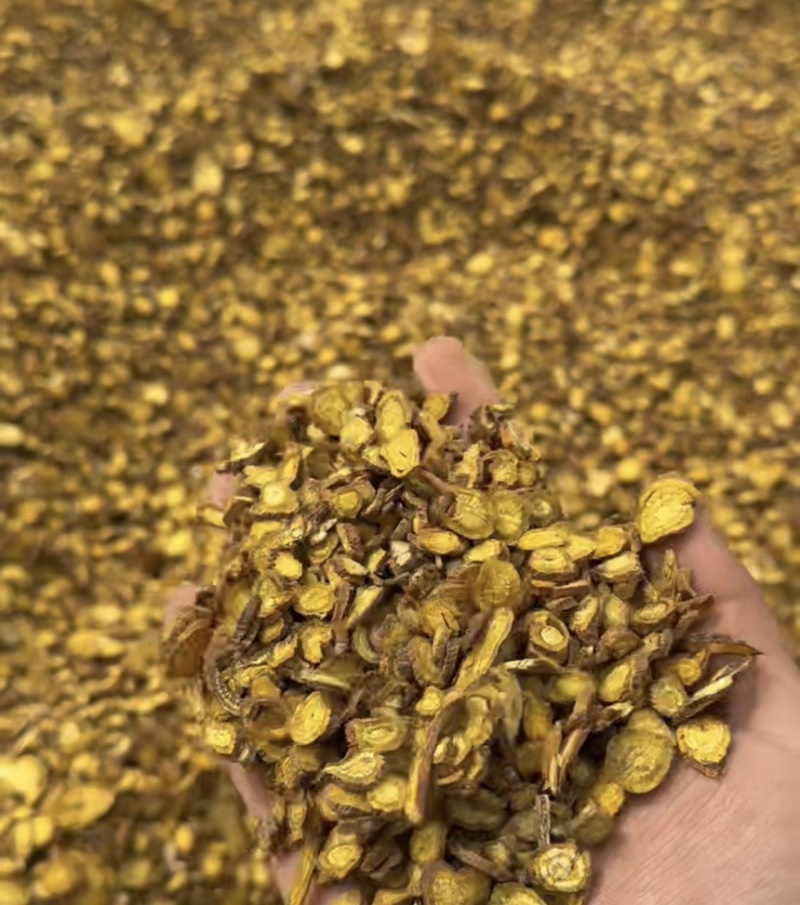 【黄芩】精品黄芩含量高品质好颜色鲜美保质保量