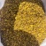 【黄芩】精品黄芩含量高品质好颜色鲜美保质保量