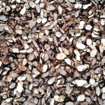 【石菖蒲】中药材批发零售石菖蒲自产自销一件代发