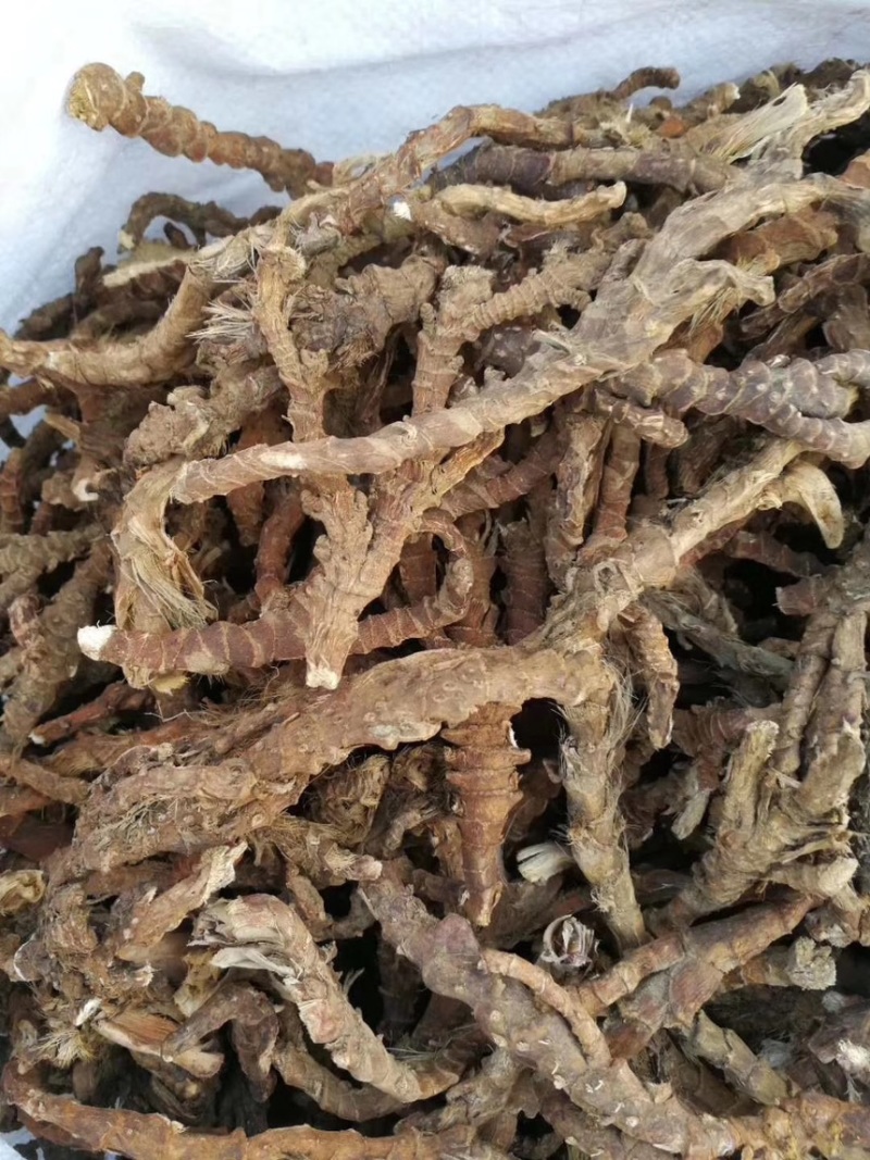 【石菖蒲】中药材批发零售石菖蒲自产自销一件代发