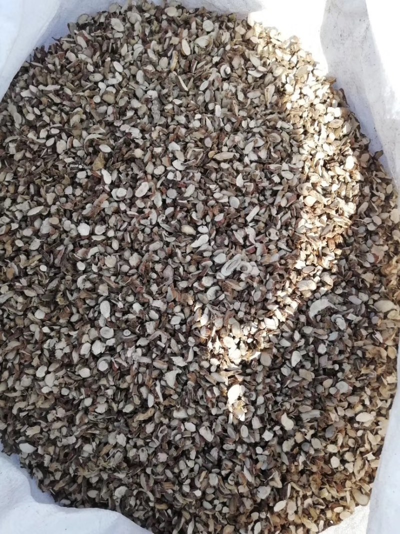 【石菖蒲】中药材批发零售石菖蒲自产自销一件代发