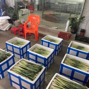 产地直发，价格实惠