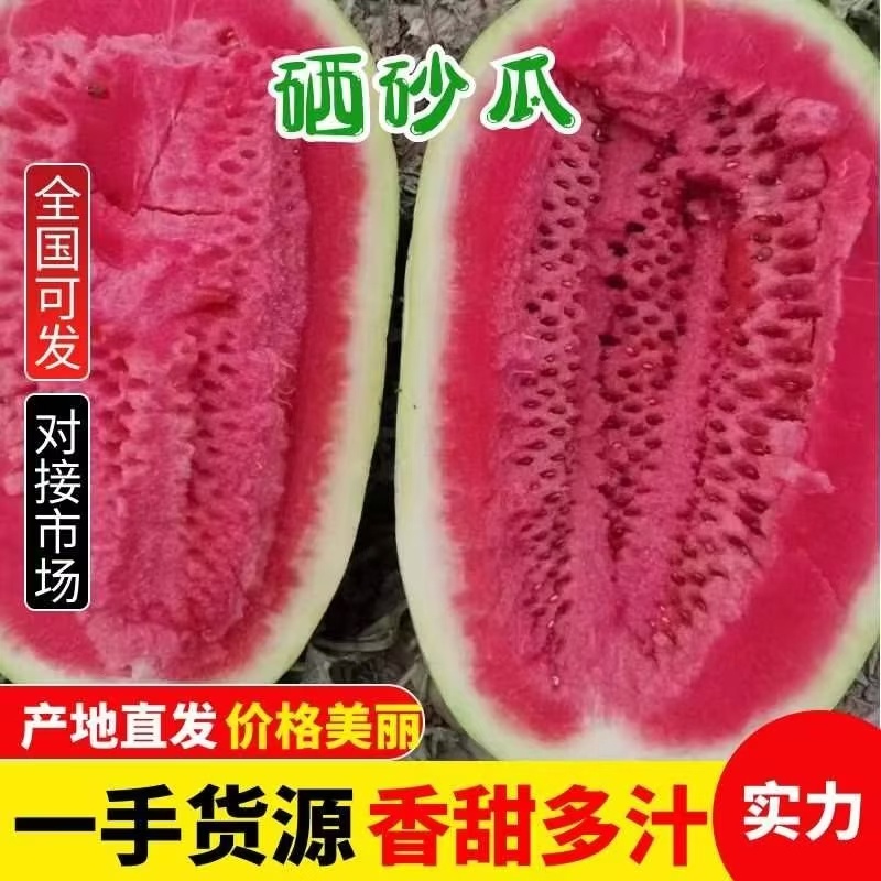 【红双瓤】精品红双瓤金城五号西瓜个头大毛皮亮品质保证