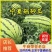 【红双瓤】精品红双瓤金城五号西瓜个头大毛皮亮品质保证