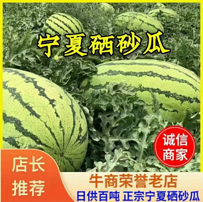 【红双瓤】精品红双瓤金城五号西瓜个头大毛皮亮品质保证