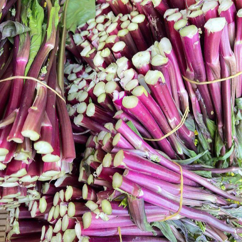 红亮亮红菜苔种子杂交四季菜心脆甜红菜苔籽好早熟抗性好