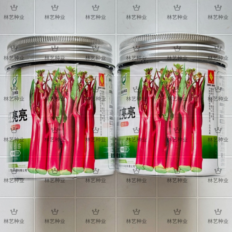 红亮亮红菜苔种子杂交四季菜心脆甜红菜苔籽好早熟抗性好