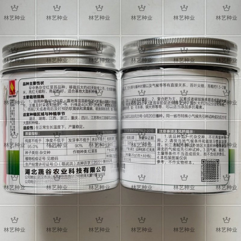 红亮亮红菜苔种子杂交四季菜心脆甜红菜苔籽好早熟抗性好