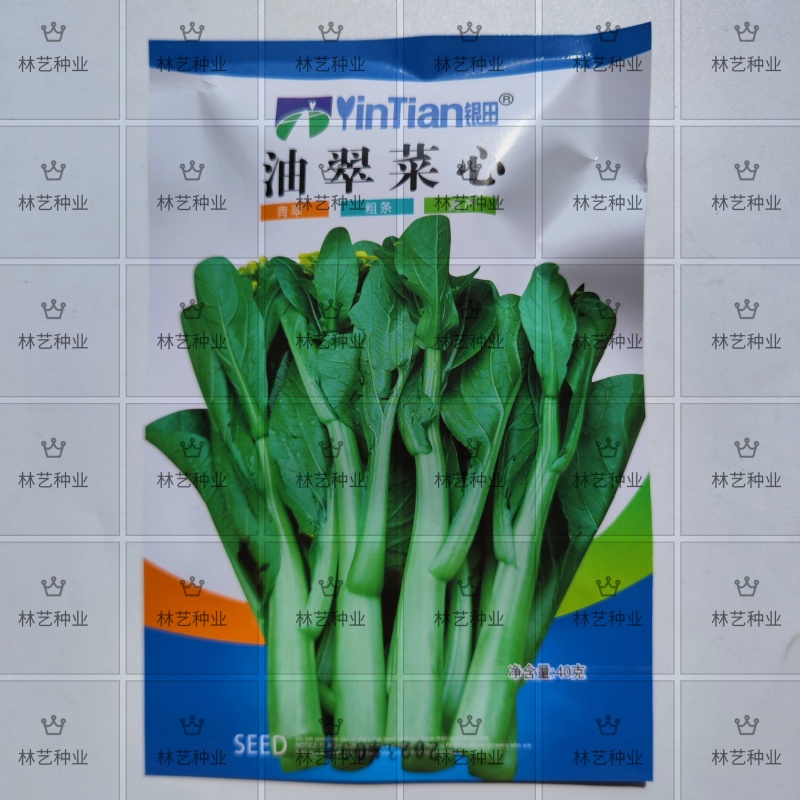 油翠菜心种子蔬菜种子菜苔粗耐热耐湿纤维少品质优丰产稳产高