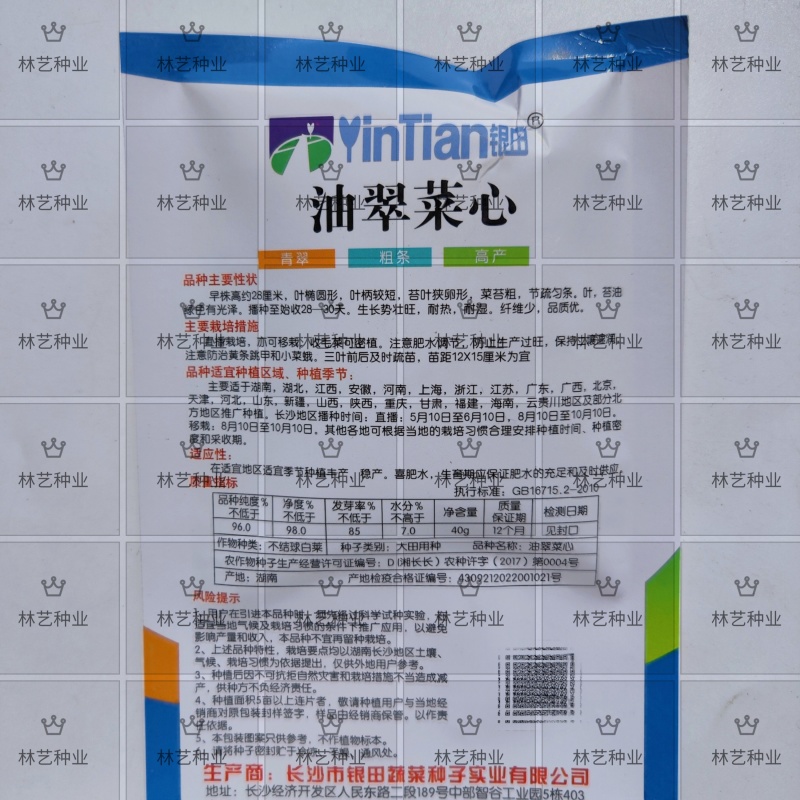 油翠菜心种子蔬菜种子菜苔粗耐热耐湿纤维少品质优丰产稳产高