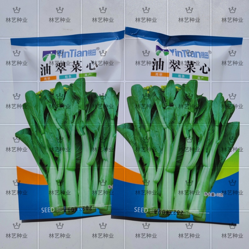 油翠菜心种子蔬菜种子菜苔粗耐热耐湿纤维少品质优丰产稳产高