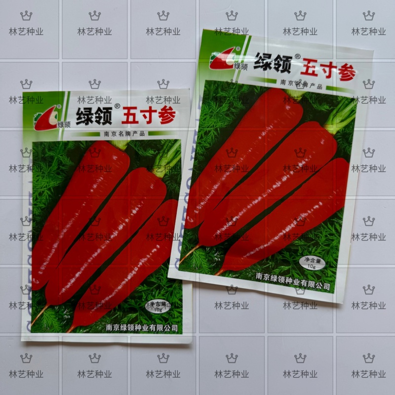 绿领五寸参胡萝卜种子营养丰富色泽鲜嫩产量稳定优质原装蔬菜