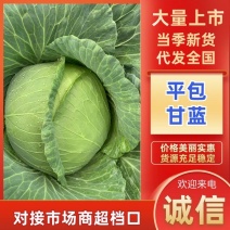 湖北高山优质圆包菜平包甘蓝产地直销，诚信服务，欢迎来电！