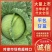 湖北高山优质圆包菜平包甘蓝产地直销，诚信服务，欢迎来电！