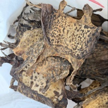 蟾皮蟾蜍衣中药材批发零售保真保量有大货供应