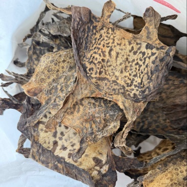 蟾皮蟾蜍衣中药材批发零售保真保量有大货供应