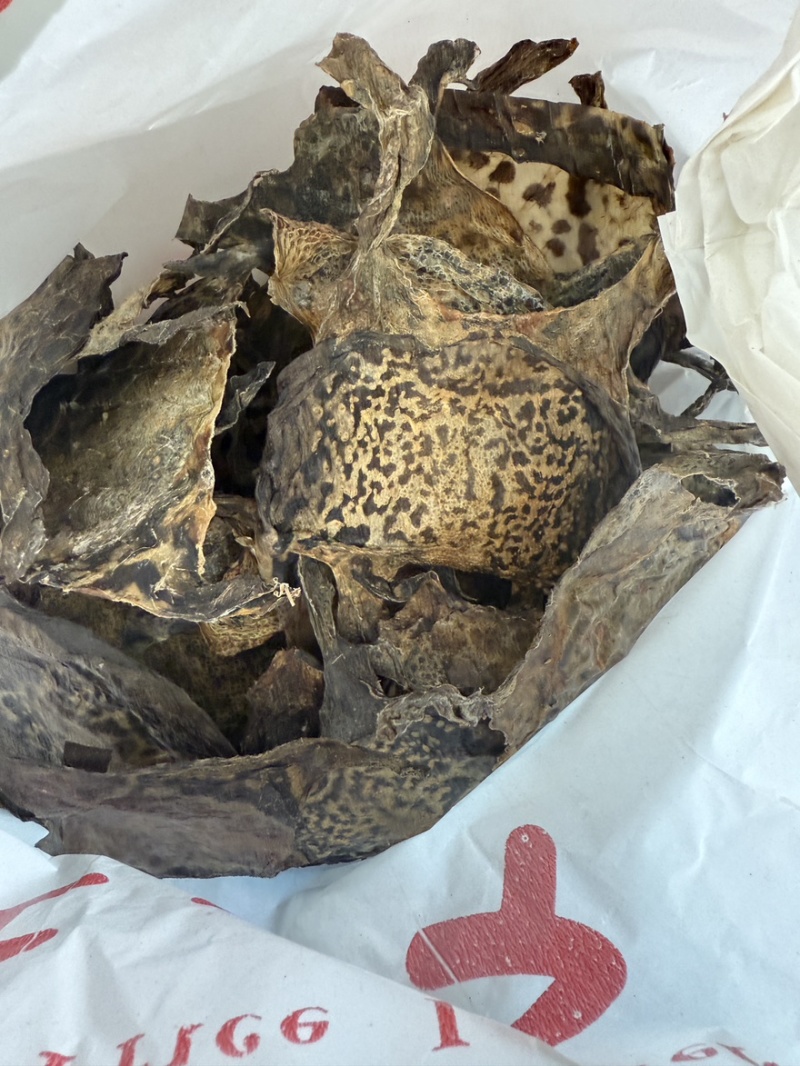 蟾皮蟾蜍衣中药材批发零售保真保量有大货供应