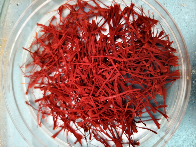 伊朗高原正宗西红花优选特红丝西红花精细挑选装番红花