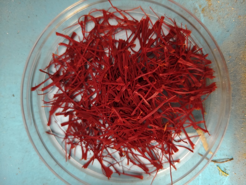 伊朗高原正宗西红花优选特红丝西红花精细挑选装番红花