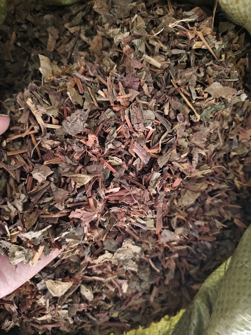鱼腥草中药材野生鱼腥草切段无硫干货除尘去沫