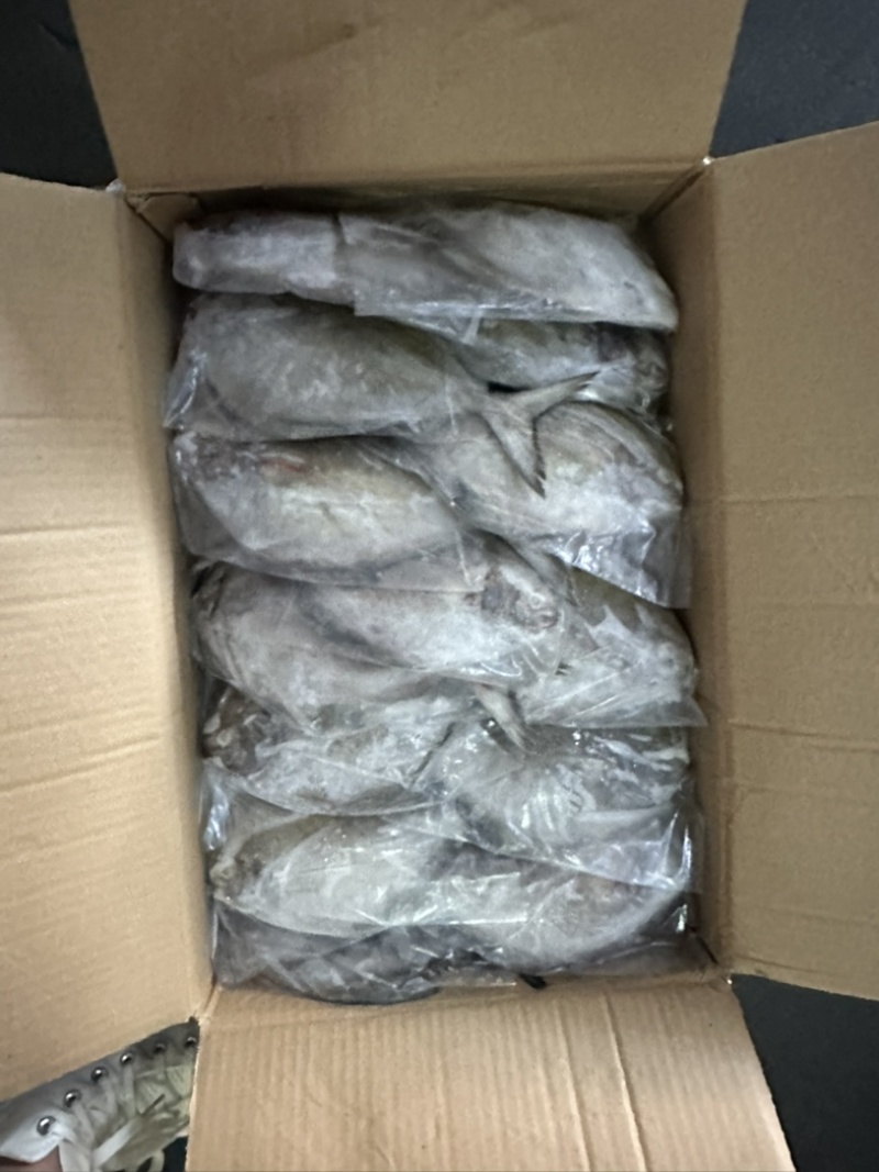 黑鲳青背黑鲳300/500。200/300