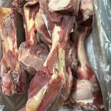 带肉牛棒骨前腿骨
