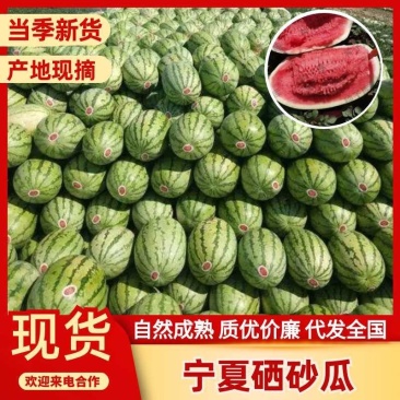 【实力代办】宁夏精品安农二号硒砂瓜爆甜多汁基地直供