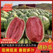 金城五号西瓜产地直发品质保证包熟包甜全国代发