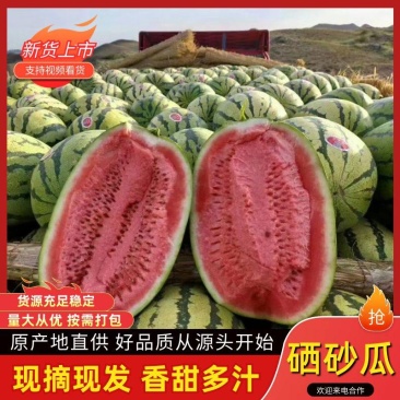 金城五号西瓜产地直发品质保证包熟包甜全国代发