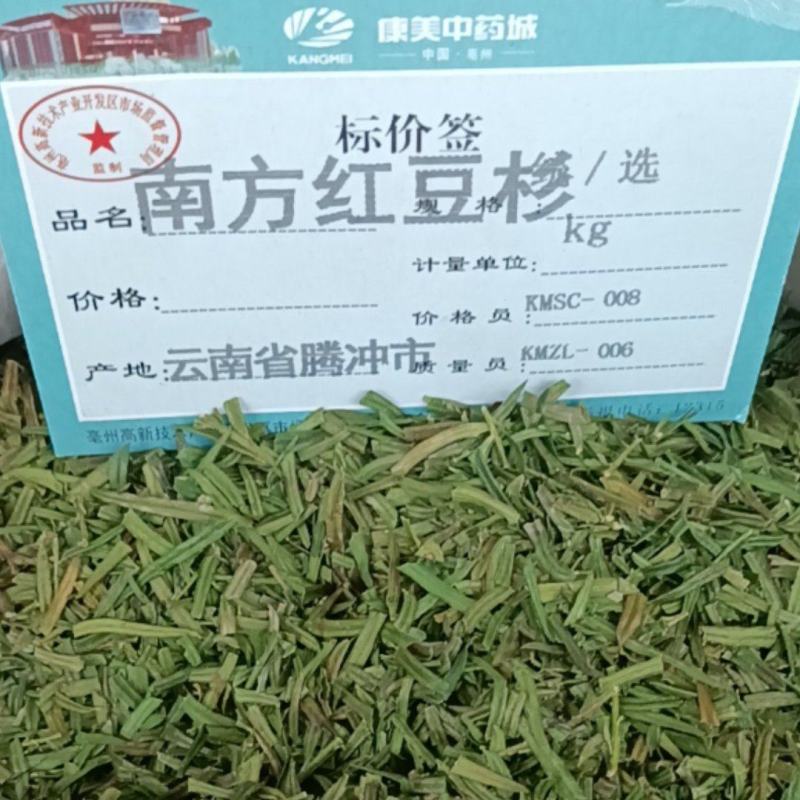 南方红豆杉叶中药材红豆杉大货供应一件包邮