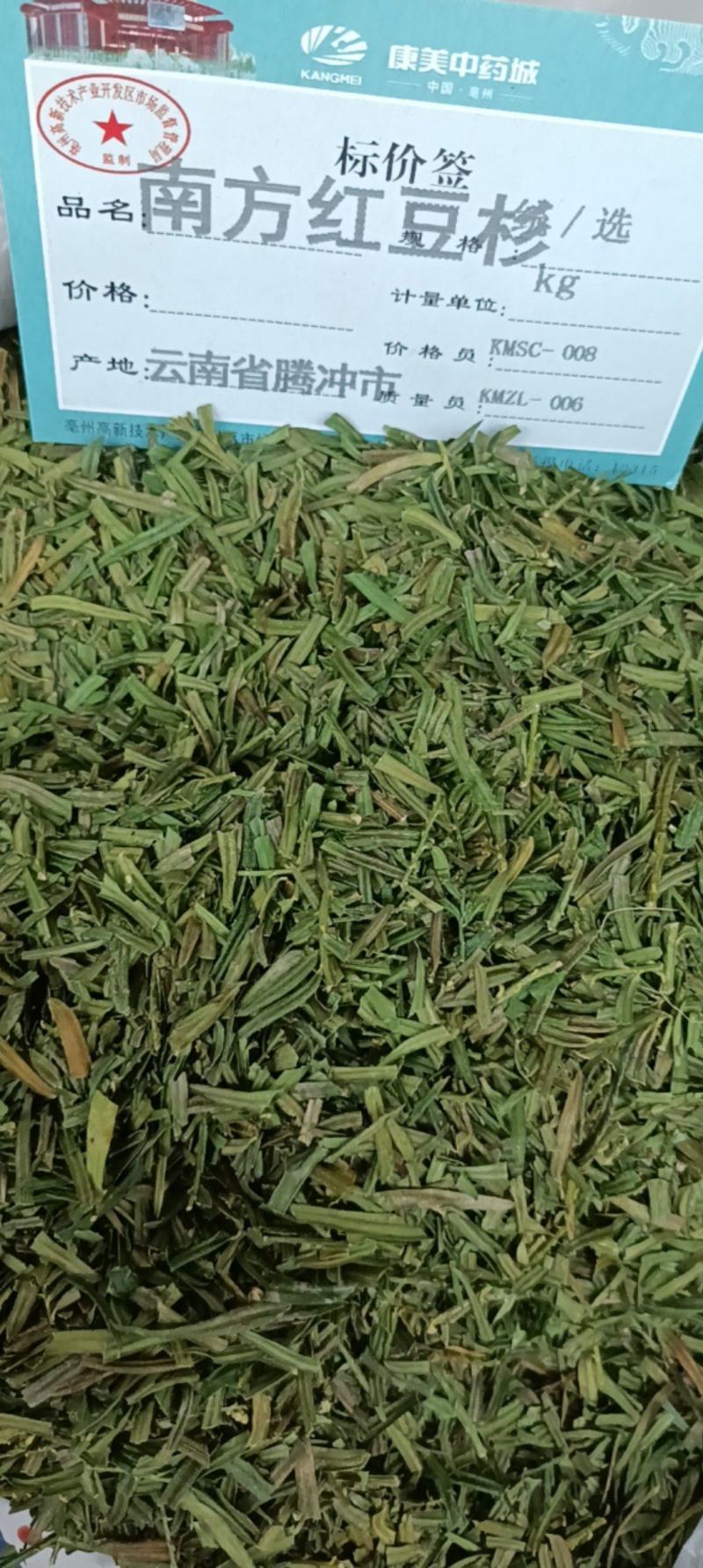 南方红豆杉叶中药材红豆杉大货供应一件包邮