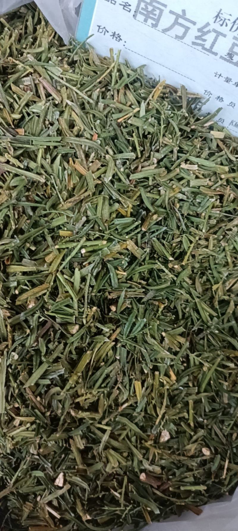 南方红豆杉叶中药材红豆杉大货供应一件包邮