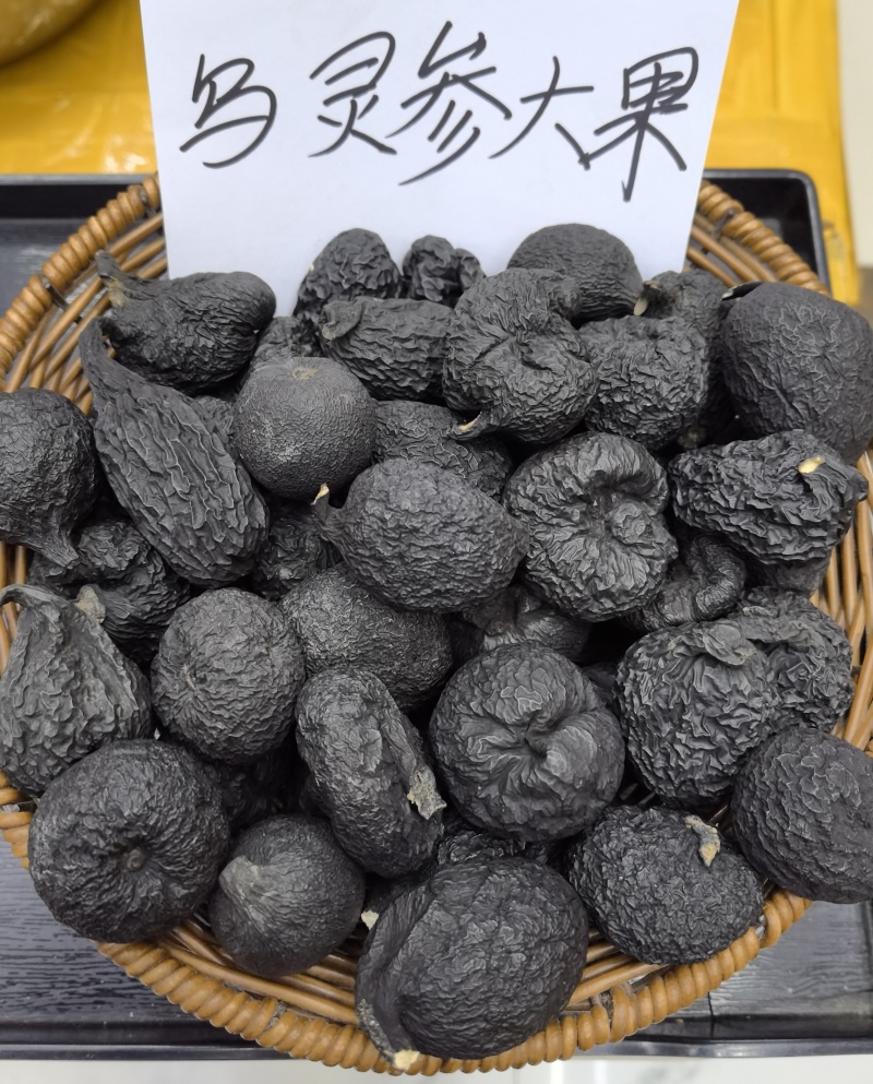 野生乌灵参全国发货品质保障欢迎电话联系